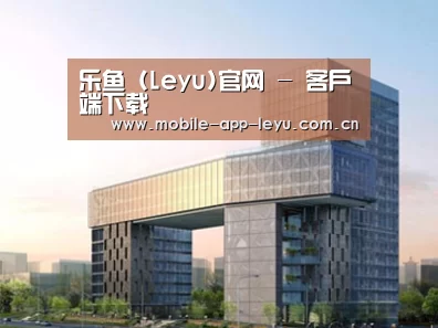 案例展示四