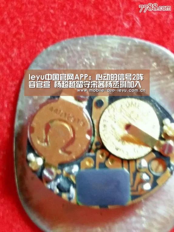 乐鱼app