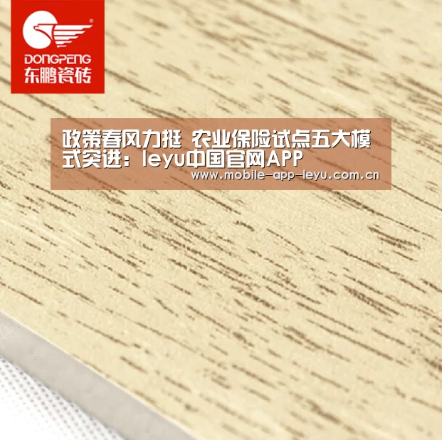 leyu中国官网APP