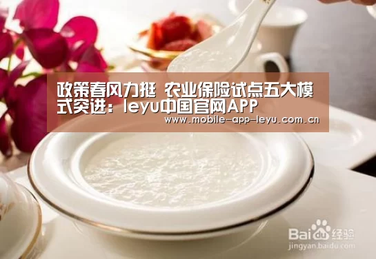 leyu中国官网APP