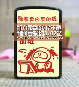 新力金融2017年净利润亏损约3.09亿元 其旗下金融公司经营情况如何_乐鱼app(图2) leyu中国官网APP