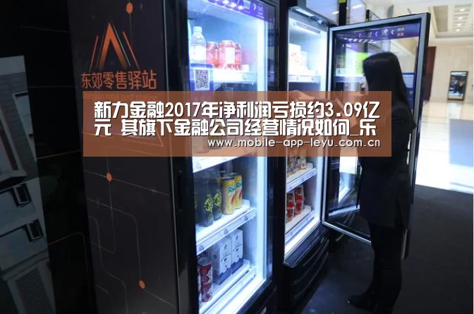 新力金融2017年净利润亏损约3.09亿元 其旗下金融公司经营情况如何_乐鱼app(图3) 乐鱼app
