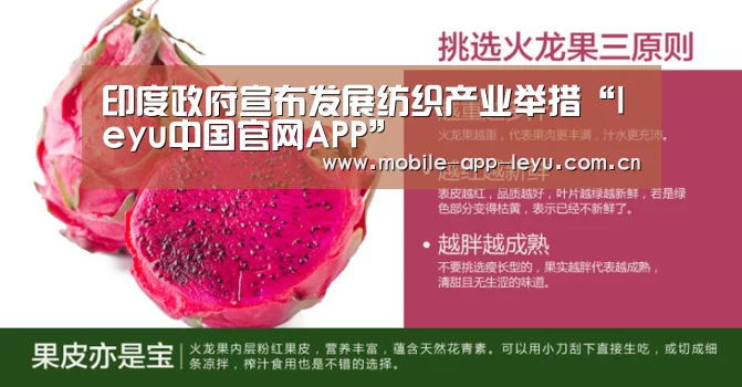 leyu中国官网APP